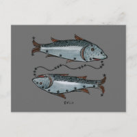 Zodiaco: Piscis en color