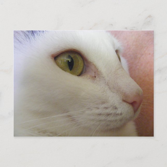 Postal Zoe está pensando. (Anverso)