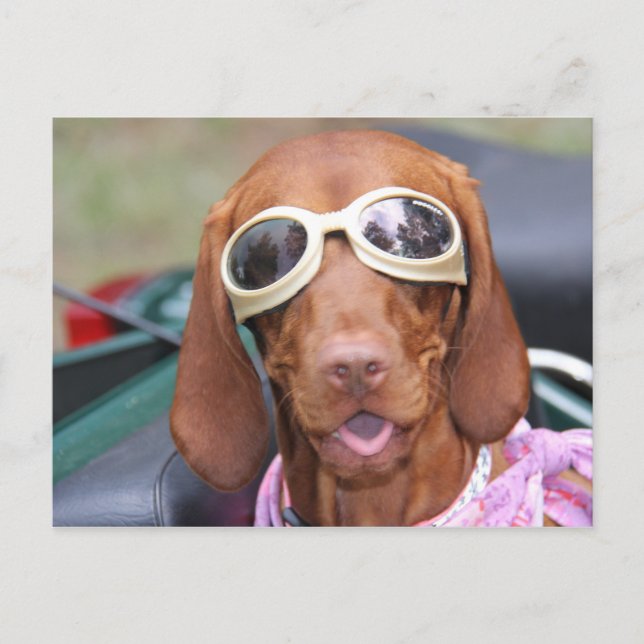 Postal Zoe Ready to Ride (Anverso)