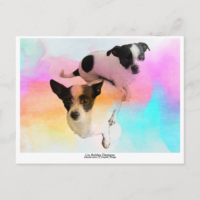 Postal ¡Zoey & Gracie Disco Blank Postcard! (Anverso)