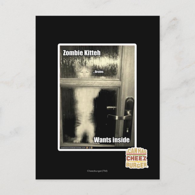 Postal Zombi Kitteh (Anverso)