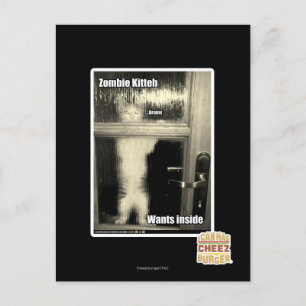 Postal Zombie Kitteh