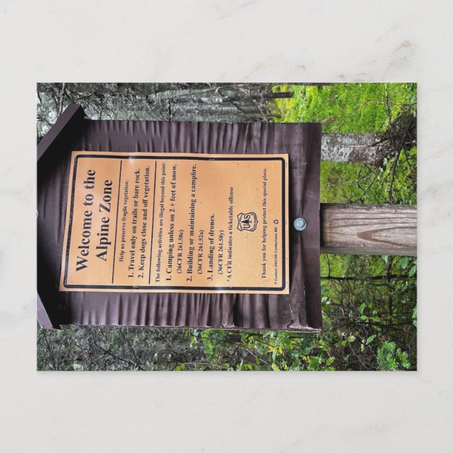 Postal Zona alpina - Bosque nacional de las montañas blan (Anverso)