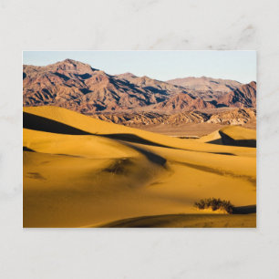 Postal Zona de juegos del desierto