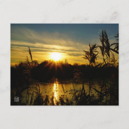 Postal Zonsondergang bij een meertje met rietpluimen.