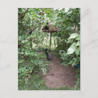 Postal Zoo Bird House