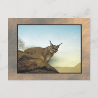 Postal zoo lynx 2