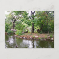 Postal zoológico de Bronx