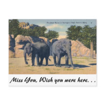 Zoológico de Detroit, Michigan