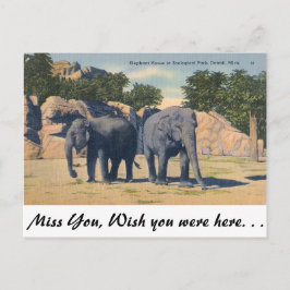 Postal Zoológico de Detroit, Michigan