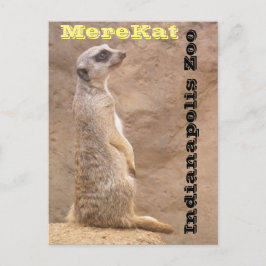 Postal Zoológico de Merekat Indianapolis