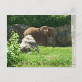 Postal zoológico de Nashville