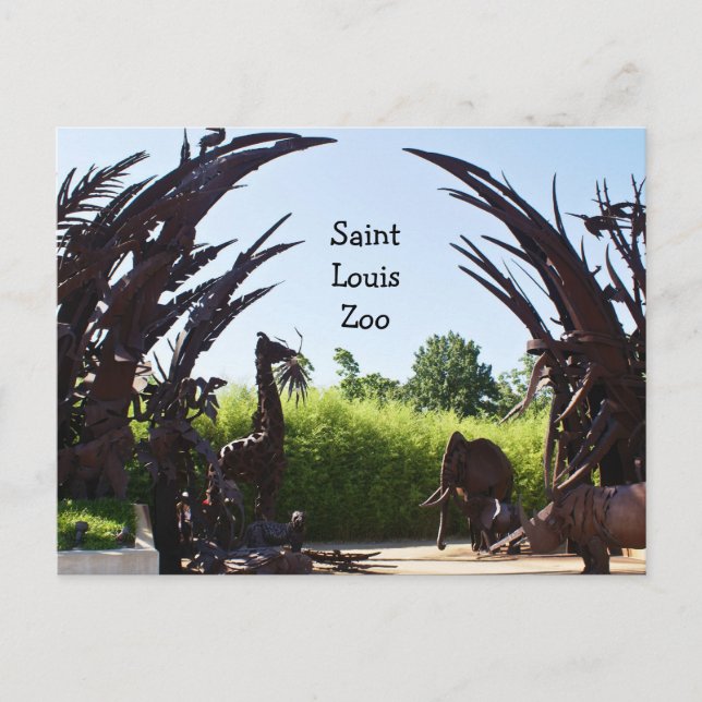 Postal Zoológico de Saint Louis (Anverso)