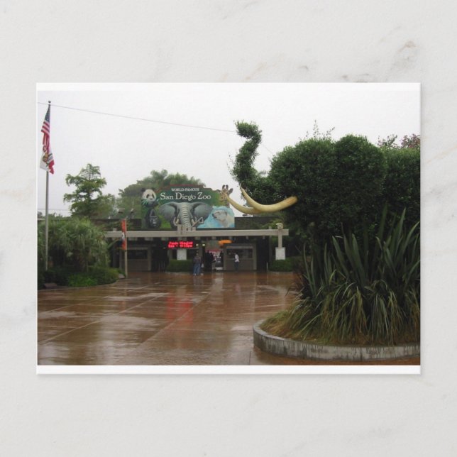 Postal Zoológico de San Diego (Anverso)