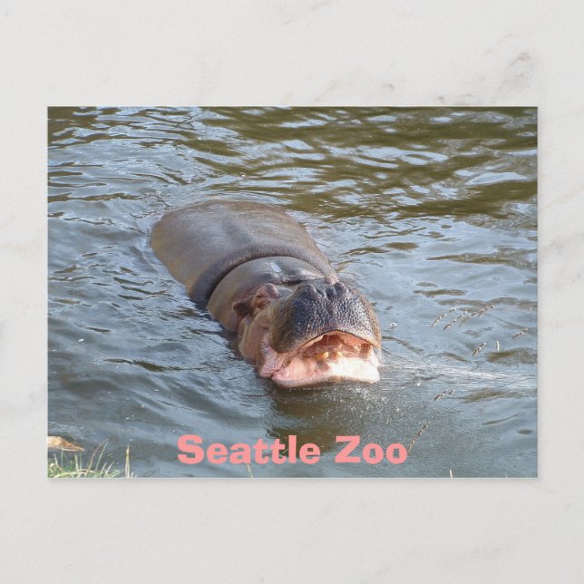 Postal Zoológico de Seattle (Anverso)