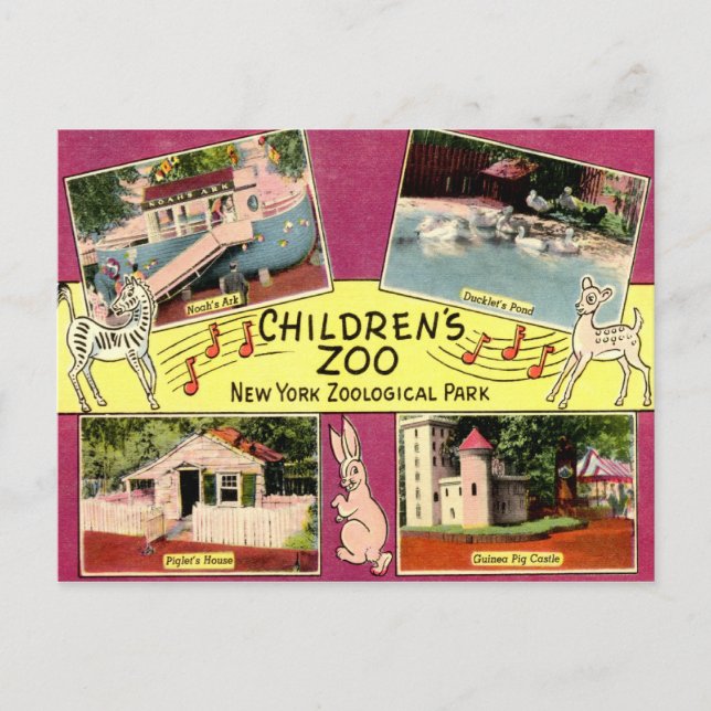 Postal Zoológico infantil, Zoológico de Bronx, Nueva York (Anverso)