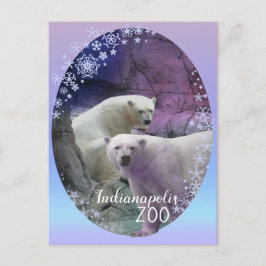 Postal Zoológico Polar Bear Indy