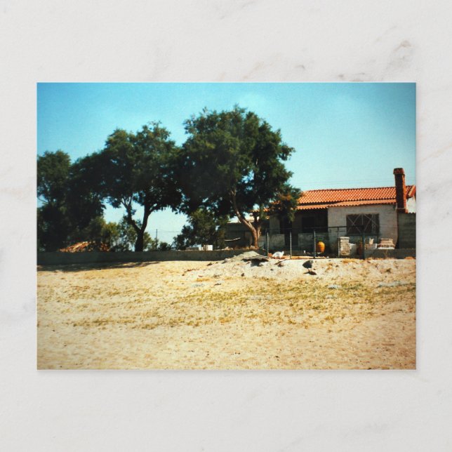 Postal Zorba la hausa griegaFoto Colette Guggenheim (Anverso)