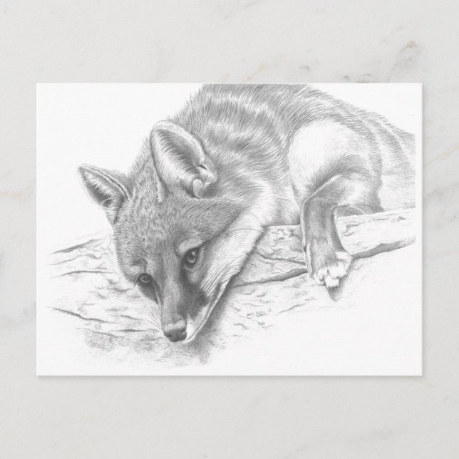 Postal zorro 59 (Anverso)