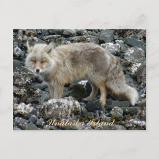 Postal Zorro Aleutiano, isla Unalaska