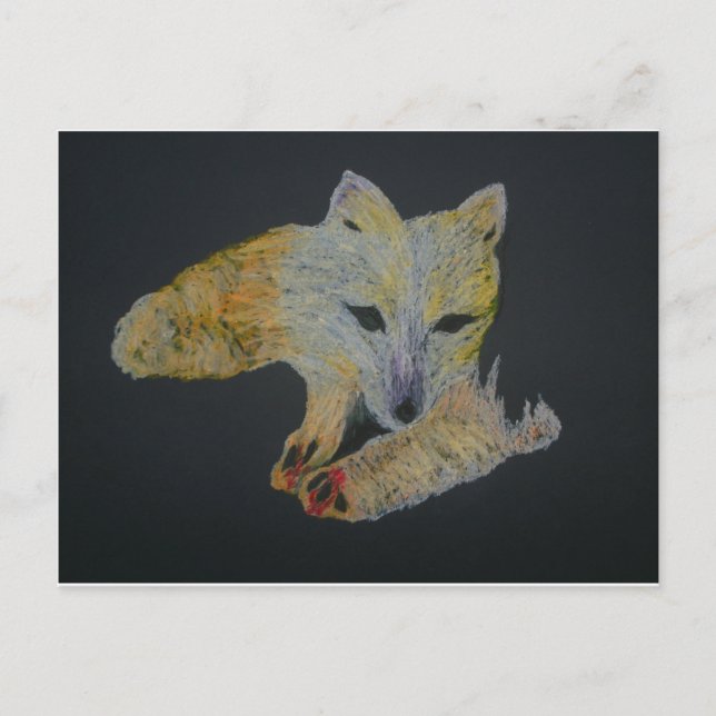 Postal zorro ártico (Anverso)