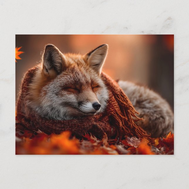 Postal Zorro Rojo Dormido en una Cálida Bufanda de Otoño (Anverso)