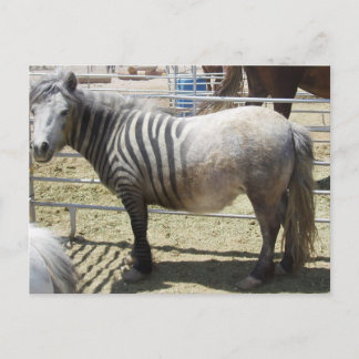 Postal Zorse