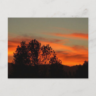 Postal Zulu Dawn