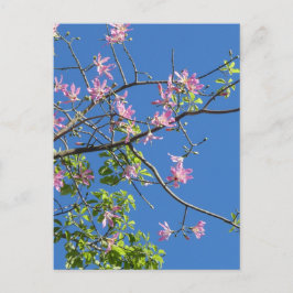 Postal Zweig mit Blumen