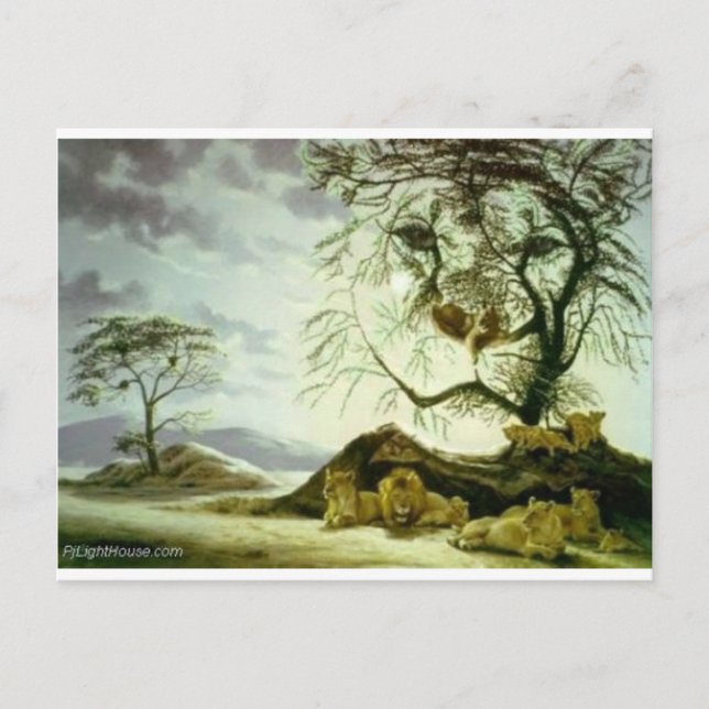 Postal zyonimuzik zyonimusic (Anverso)