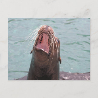 Postales abiertas a la boca de lobo de mar