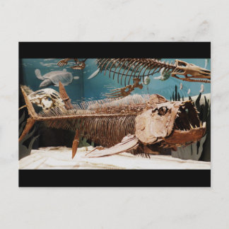 Postales acuáticas de Dino