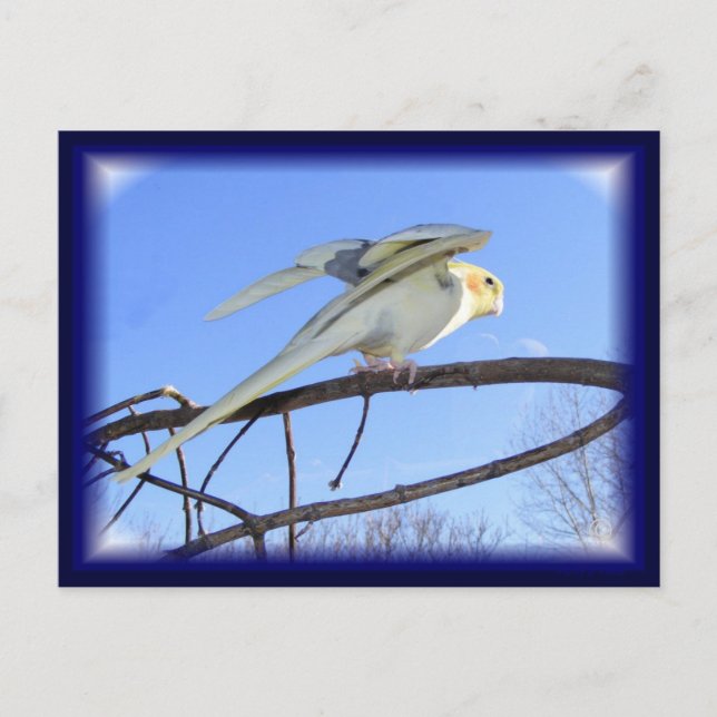 Postales aerodinámicas (Anverso)