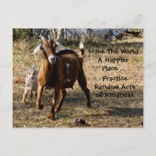 Postales aleatorias de amabilidad (cabras adorable