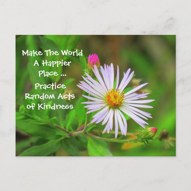 Postales aleatorias de amabilidad (Flor silvestre) (Anverso)