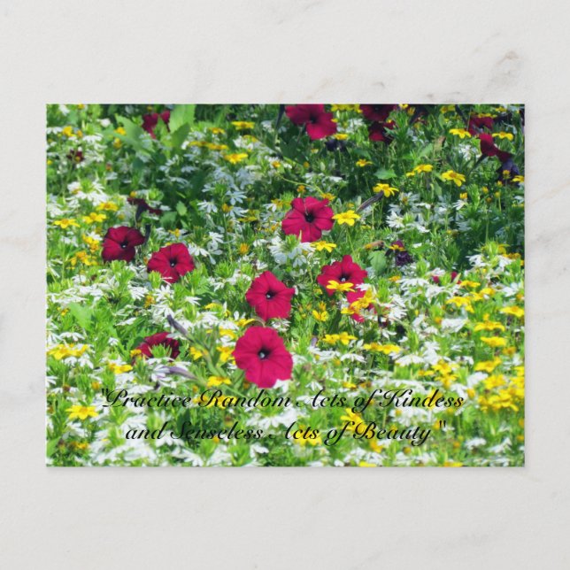 Postales aleatorias de amabilidad - Flores silvest (Anverso)