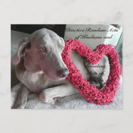 Postales aleatorias de amabilidad - Lluvia