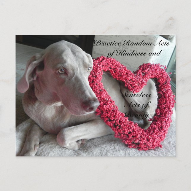 Postales aleatorias de amabilidad - Lluvia (Anverso)