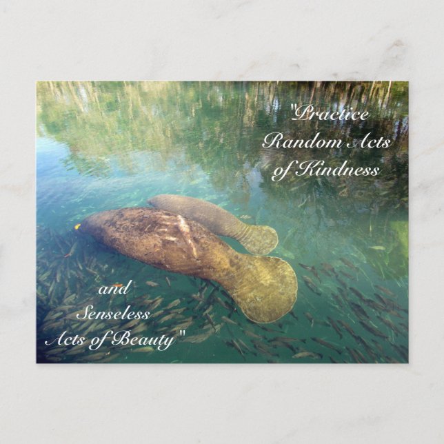 Postales aleatorias de amabilidad - Manatee (Anverso)