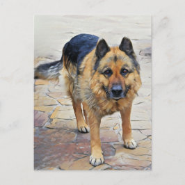 Postales alemanas de perro pastor