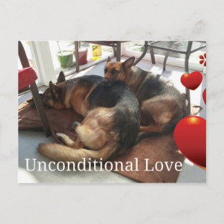 Postales alemanas de perro pastor