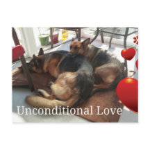 Postales alemanas de perro pastor