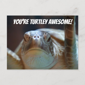 Postales alucinantes de Turtley