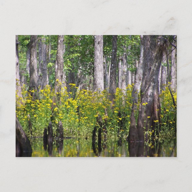 Postales amarillas (Anverso)