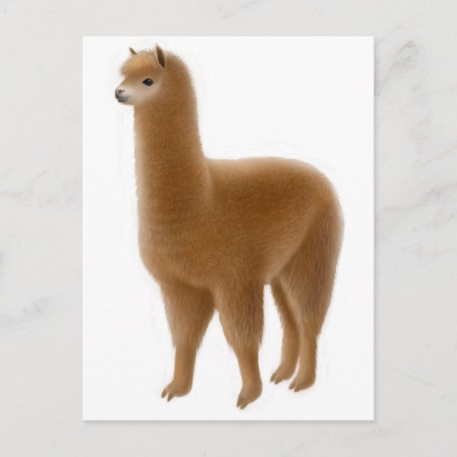 Postales amistosas de la Alpaca marrón (Anverso)