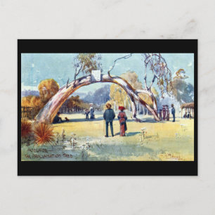 Postales antiguas - Adelaida, Australia del Sur