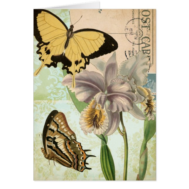 Postales antiguas con mariposas y flores (Frente)
