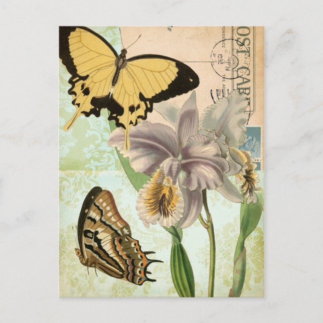 Postales antiguas con mariposas y flores (Anverso)