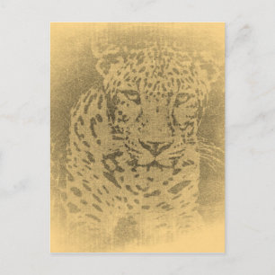 Postales antiguas de Leopard Portrait