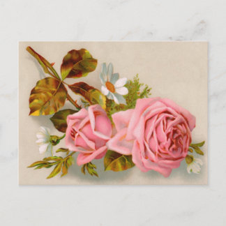 Postales antiguas de Rosas